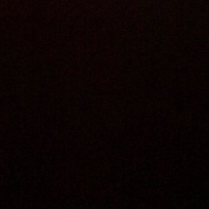 Meet your Posher, Abigail